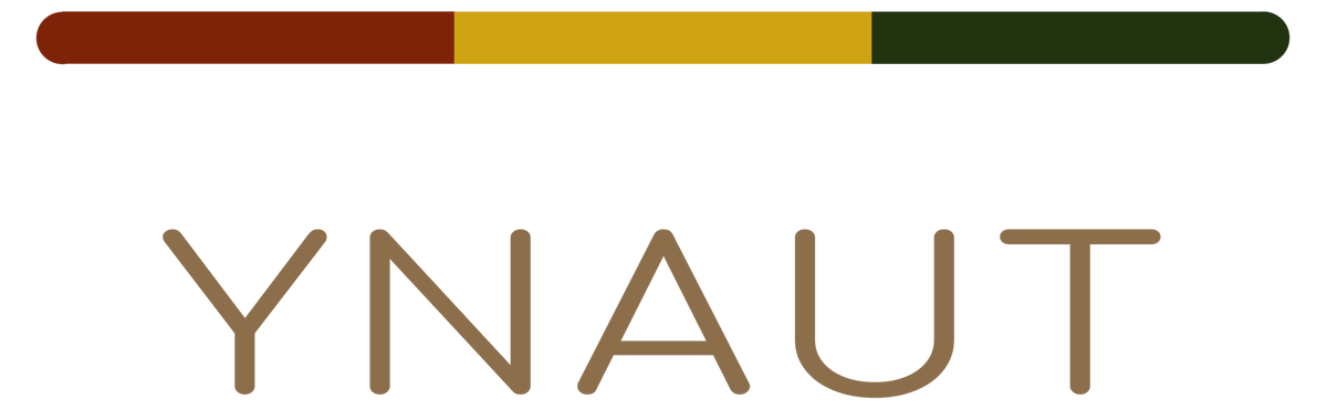 YNAUT Riddim logo featuring a horizontal red, gold, and green stripe above the word 'YNAUT' 